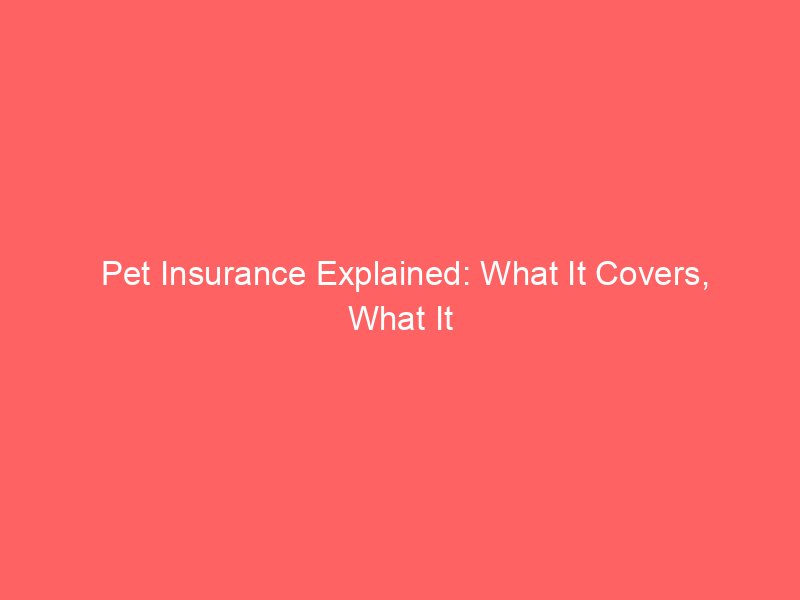 Pet Insurance Explained: What It Covers, What It Doesn’t, and How to Choose a Policy